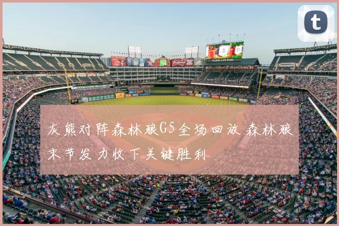 灰熊对阵森林狼G5全场回放 森林狼末节发力收下关键胜利